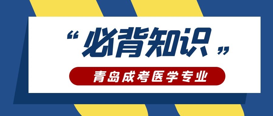 成考必背知識點