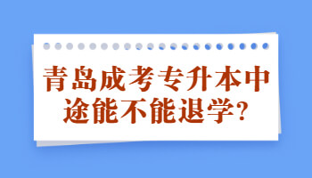 青島成考專升本