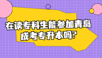 青島成考專升本