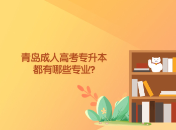 青島成人高考專升本都有哪些專業?