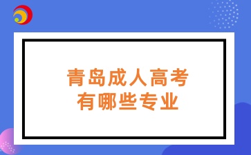 青島成人高考有哪些專業(yè)